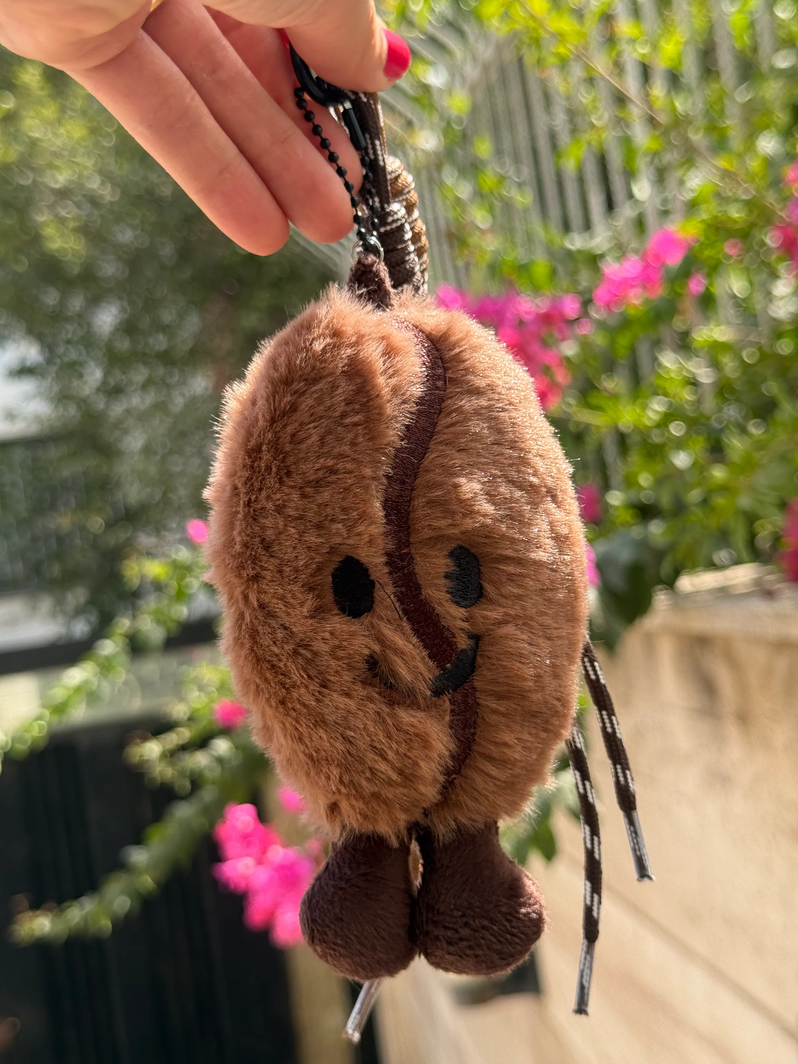 چارم بگ دانه قهوه